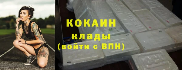 дживик Снежногорск