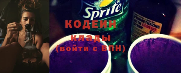 дживик Снежногорск