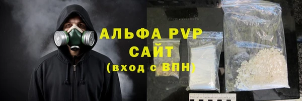дживик Снежногорск