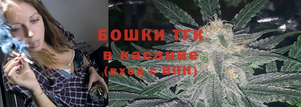 дживик Снежногорск