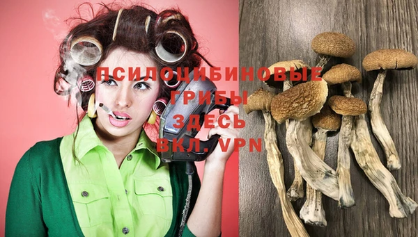 дмт Слюдянка