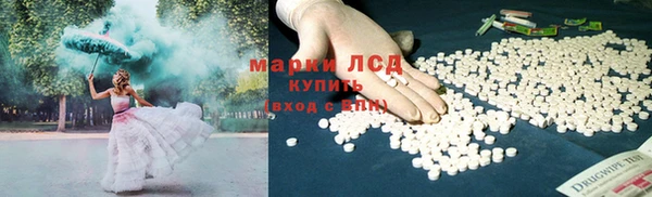 дживик Снежногорск